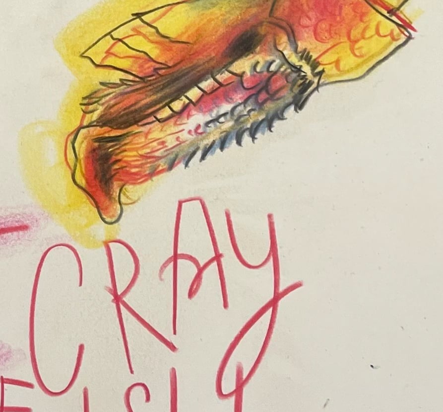 Image of Life Aquatic: Cray fish / Languste