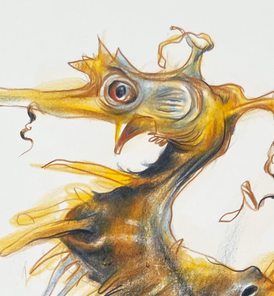 Image of Life Aquatic: Sea dragon