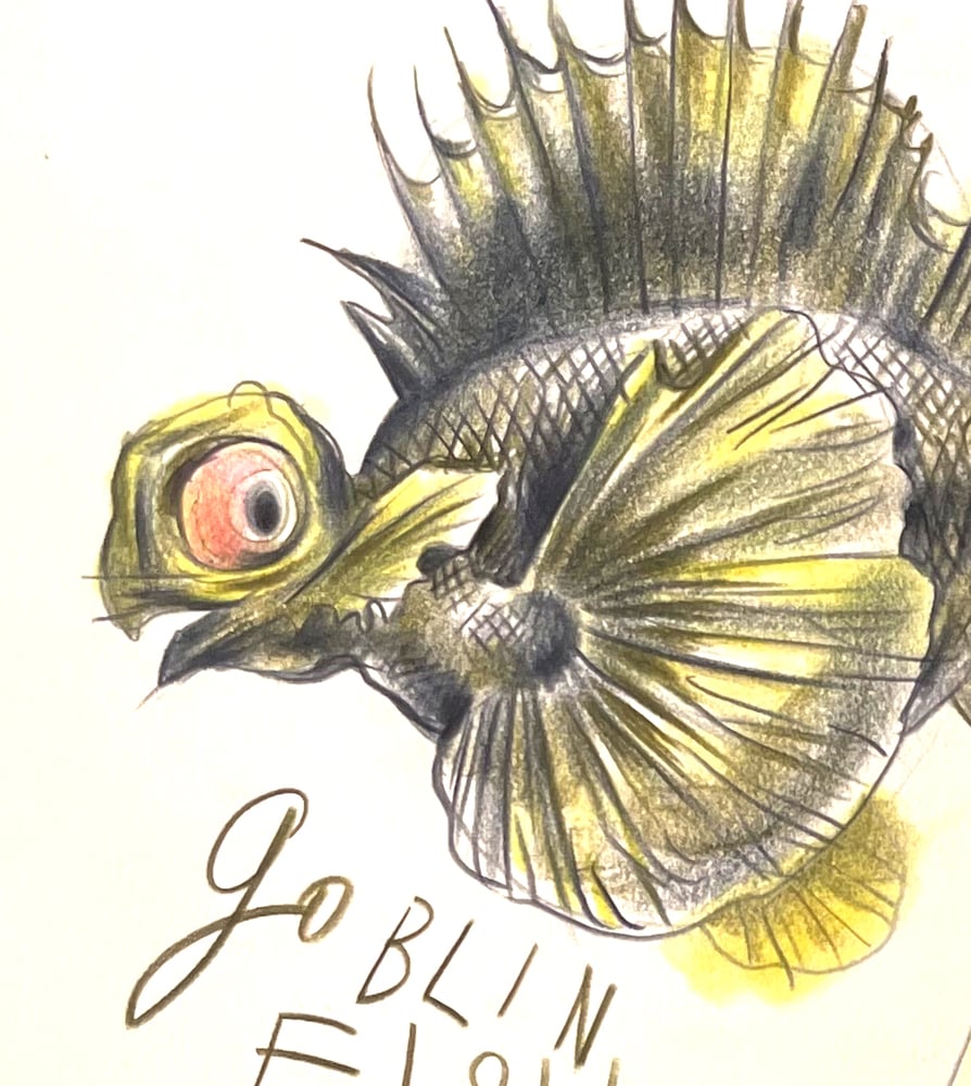 Image of Life Aquatic: Australia