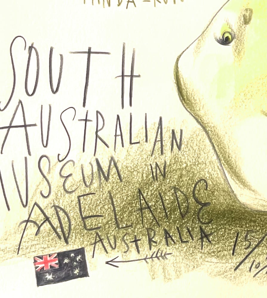 Image of Life Aquatic: Australia