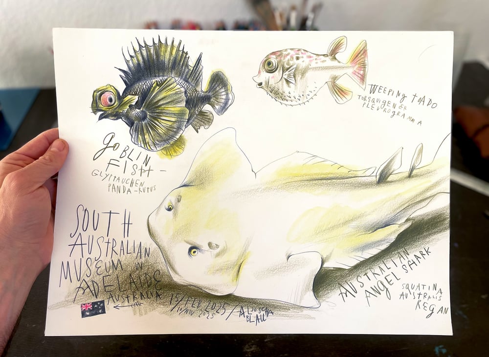 Image of Life Aquatic: Australia