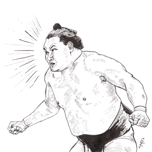 Image of Hoshoryu A4 ink drawing