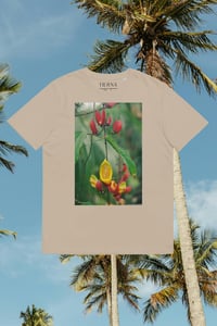 Image 2 of organic cotton t-shirt