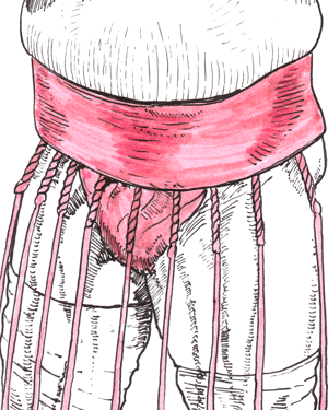 Image of Ura A4 ink drawing