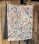 Foraged Finds 100% Linen Tea Towel