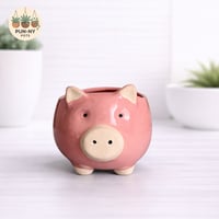 Pig Planter Pot