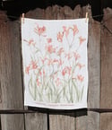 Kangaroo Paw 100% Linen Tea Towel
