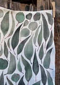 Eucalyptus albens 100% Linen Tea Towel