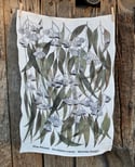 Silver Princess Eucalyptus Leaves Tea Towel