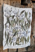 Silver Princess Eucalyptus Leaves Tea Towel