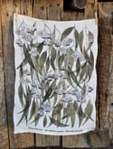 Silver Princess Eucalyptus Leaves Tea Towel