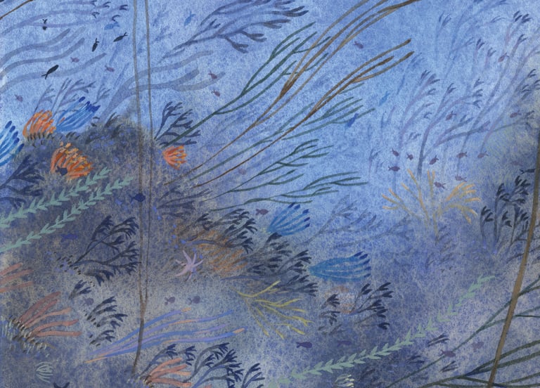 Les grands fonds - A2 Image 3