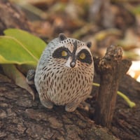 Image 1 of Rotund Raccoons