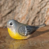 Image 1 of Worrybirds: Warblers