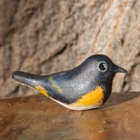 Image 2 of Worrybirds: Warblers