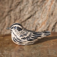 Image 3 of Worrybirds: Warblers