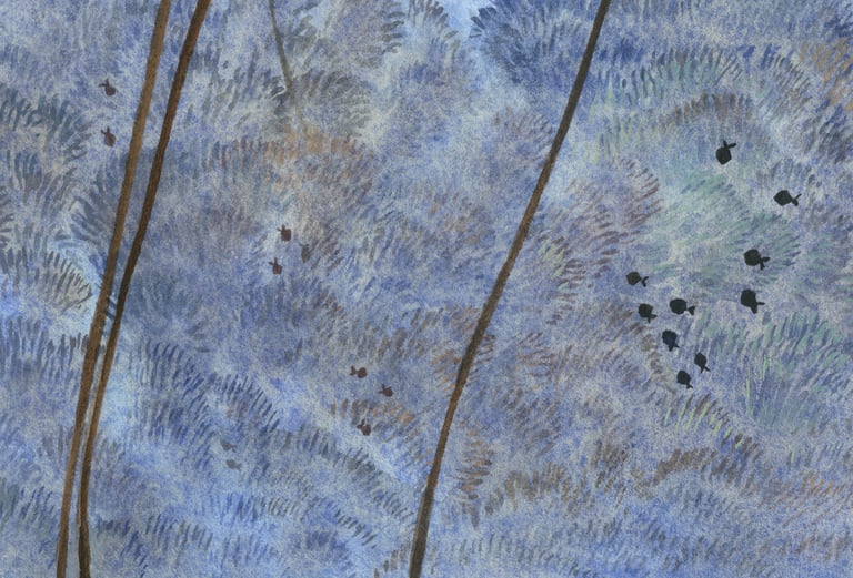 Les laminaires - A3 Image 2