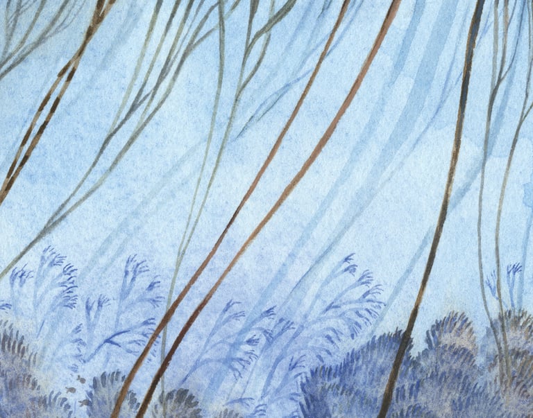 Les laminaires - A3 Image 3