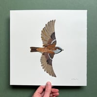 Image 1 of House Sparrow - Original Papercut Artwork