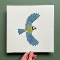 Image 1 of Bluetit - Original Papercut Artwork