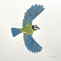 Image 2 of Bluetit - Original Papercut Artwork