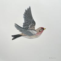 Image 2 of Redpoll - Original Papercut Artwork