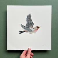 Image 1 of Redpoll - Original Papercut Artwork