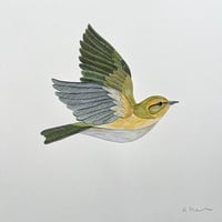 Image 2 of Wood Warbler - Original Papercut Artwork