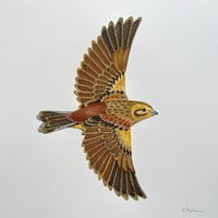 Image 2 of Yellowhammer - Original Papercut Artwork