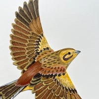 Image 3 of Yellowhammer - Original Papercut Artwork
