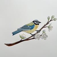 Image 2 of Bluetit and blossom - Original Papercut Artwork