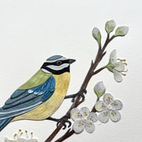 Image 3 of Bluetit and blossom - Original Papercut Artwork