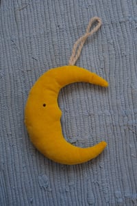 Image 1 of Velvet Moon