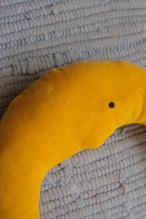 Image of Velvet Moon