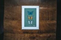 Image 2 of Butterfly Print