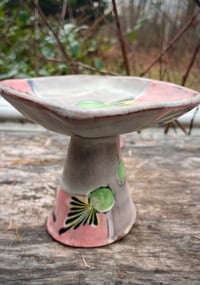 Image 1 of Elevated Dish in Pink