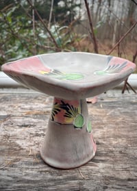 Image 4 of Elevated Dish in Pink