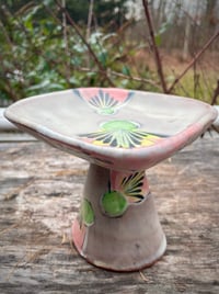 Image 5 of Elevated Dish in Pink