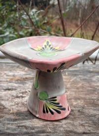 Image 6 of Elevated Dish in Pink