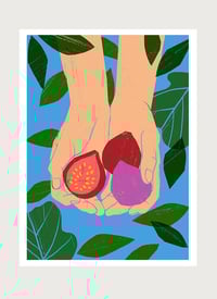 Image 1 of Fresh Figs