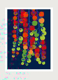 Image 1 of Cherry Tomatoes