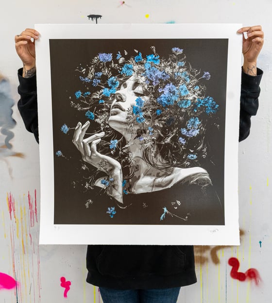 Image of Morning Lights - Winter Deep