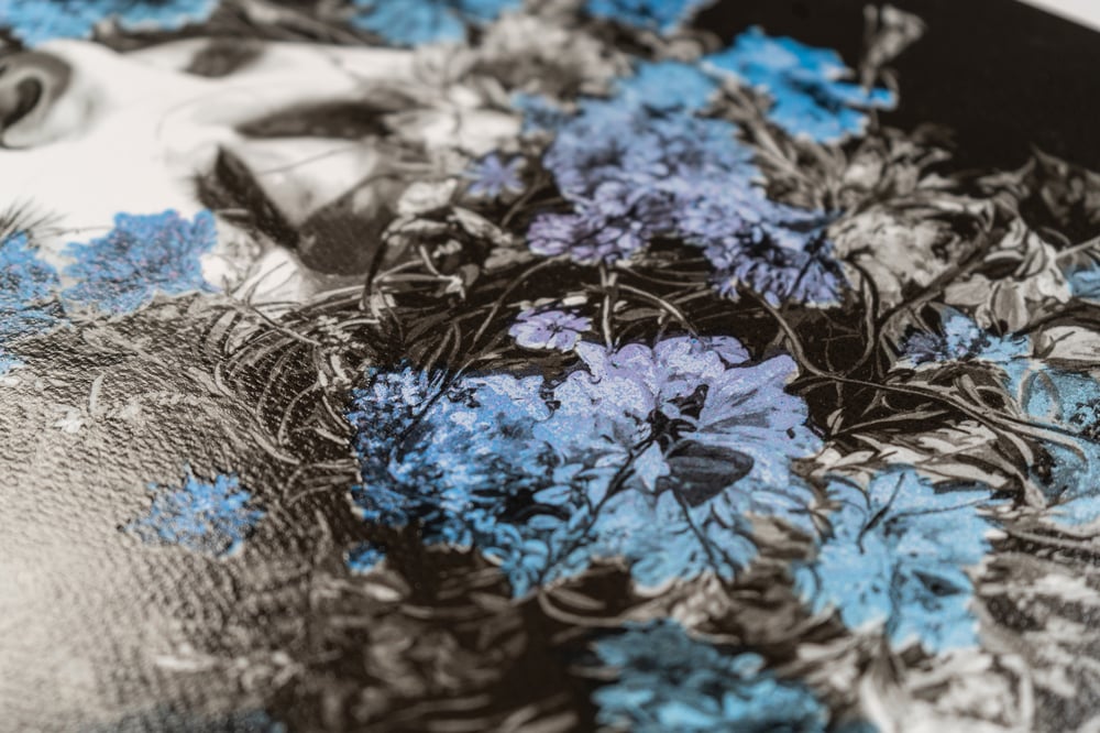 Image of Morning Lights - Winter Deep