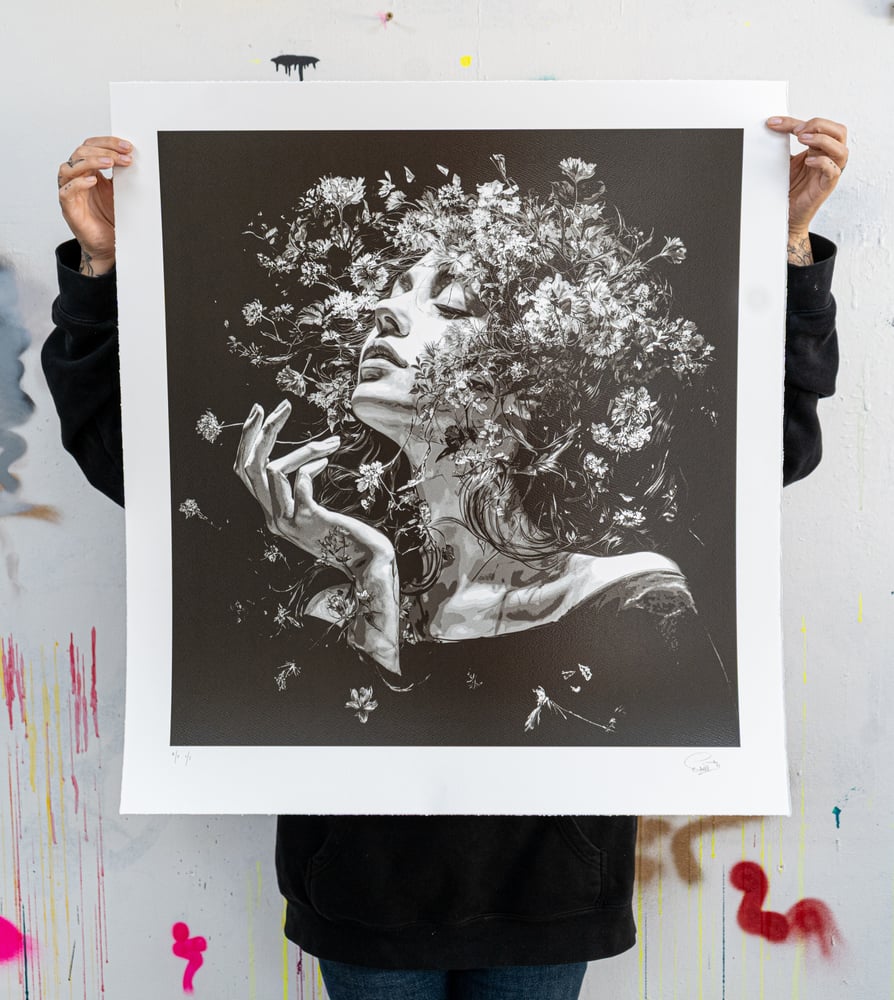 Image of Morning Lights - Winter Pale