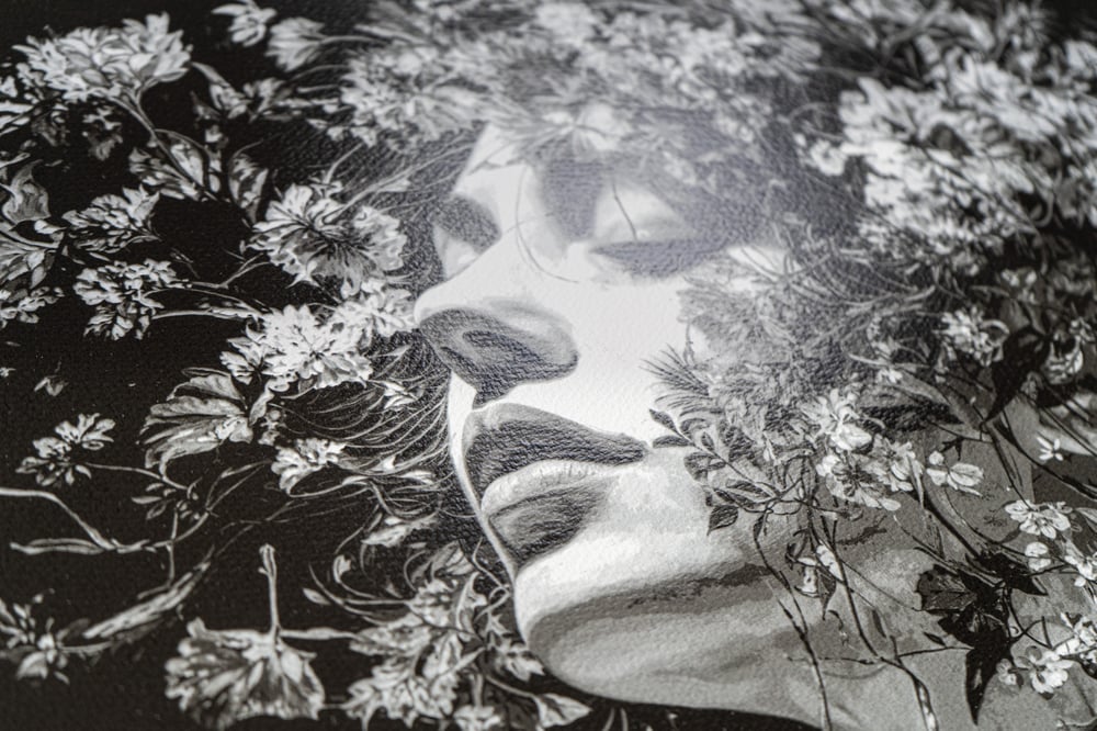 Image of Morning Lights - Winter Pale