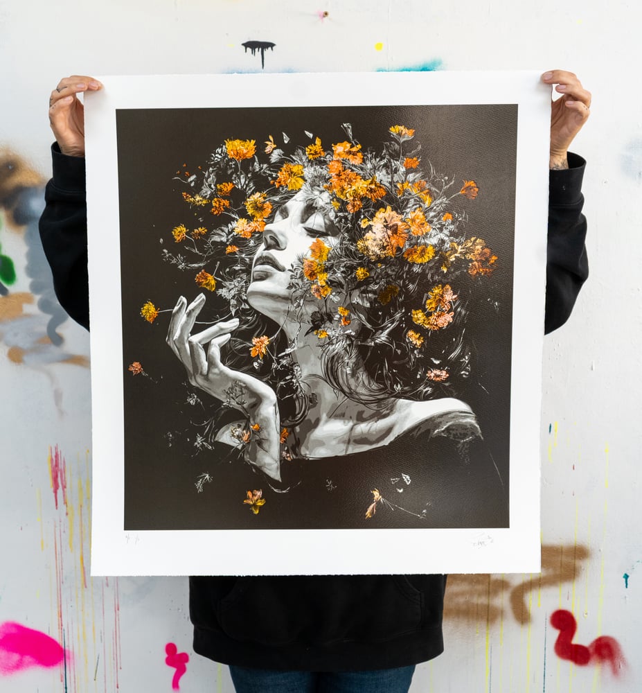 Image of Morning Lights - Autumn Turn