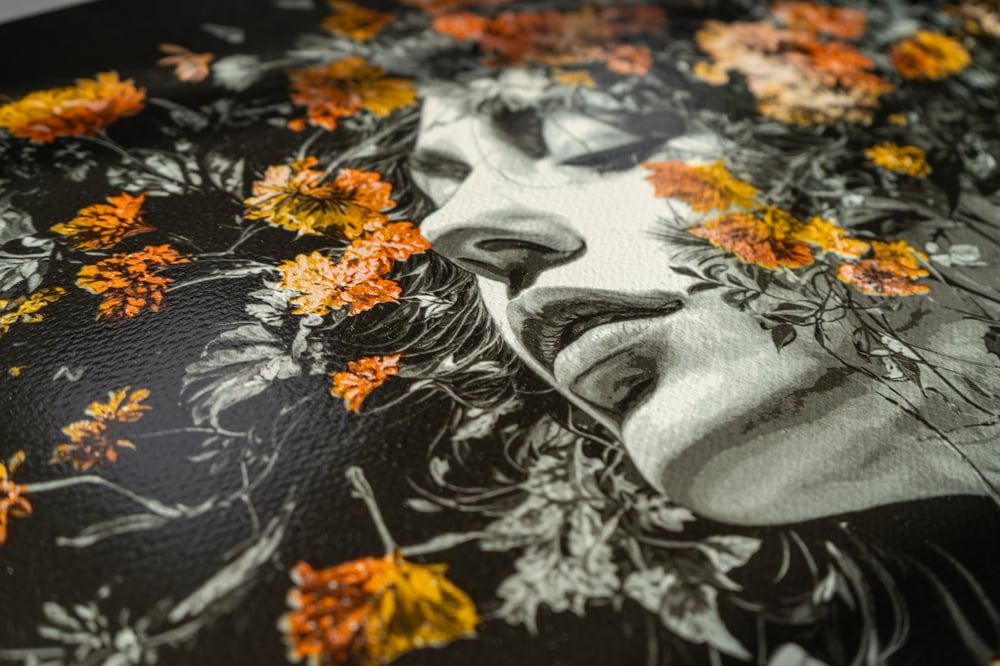 Image of Morning Lights - Autumn Turn