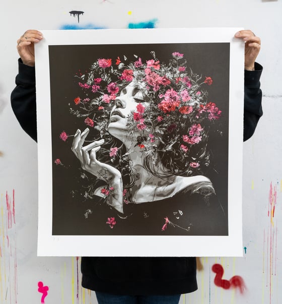 Image of Morning Lights - Spring Bloom