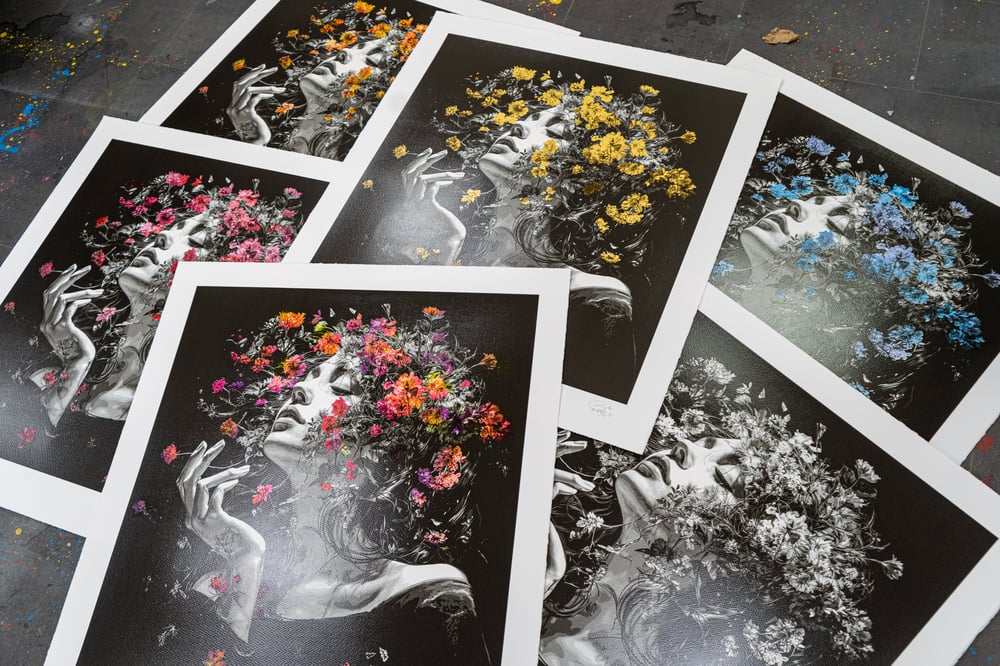 Image of Morning Lights - Spring Bloom