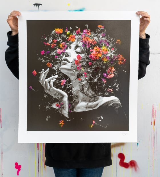 Image of Morning Lights - Summer Pulse